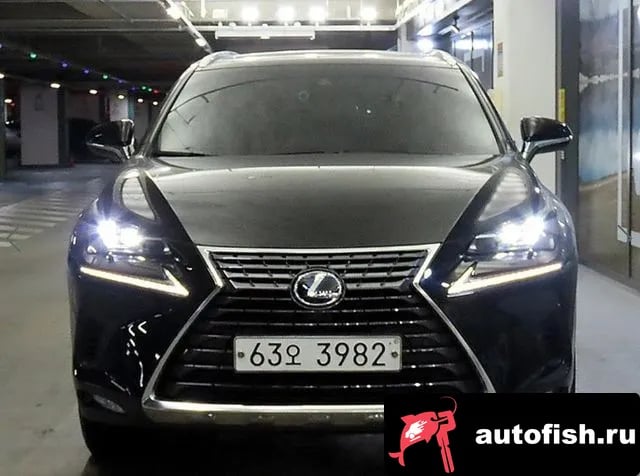 Lexus NX NX300h 2019 года - вид 2