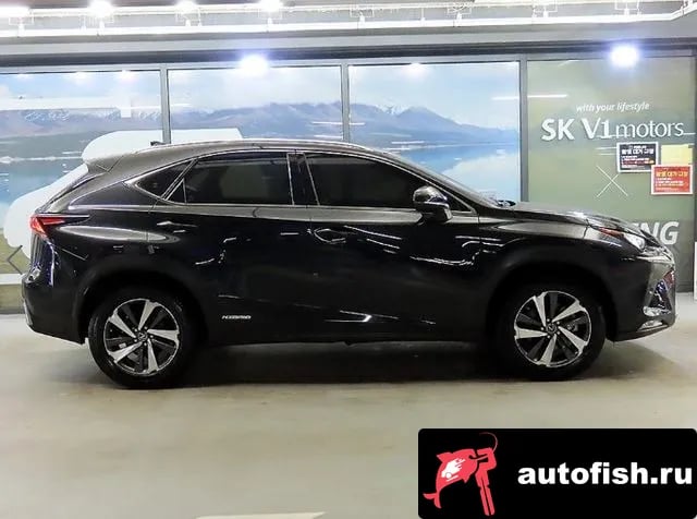 Lexus NX NX300h 2019 года - вид 3