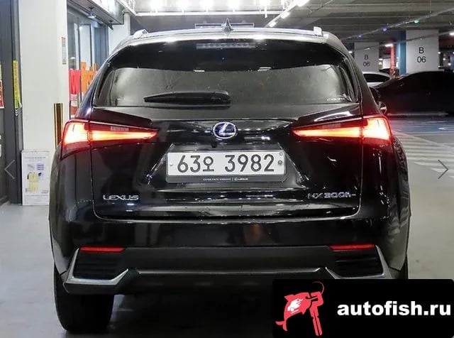 Lexus NX NX300h 2019 года - вид 5