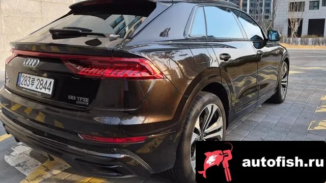 Audi Q8 Q8 (4M) 2023 года - вид 2