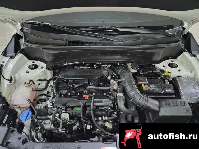 Kia Seltos The New Celtos 2025 года - вид 6