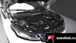 Миниатюра 6