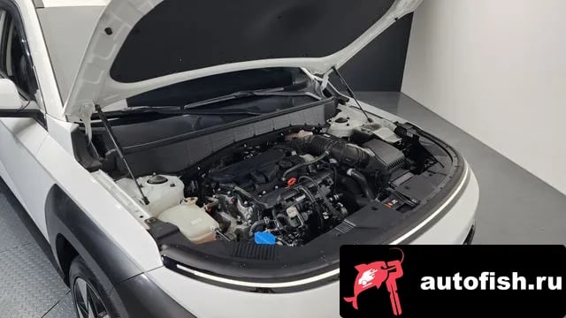 Hyundai Kona Kona (SX2) 2024 года - вид 6
