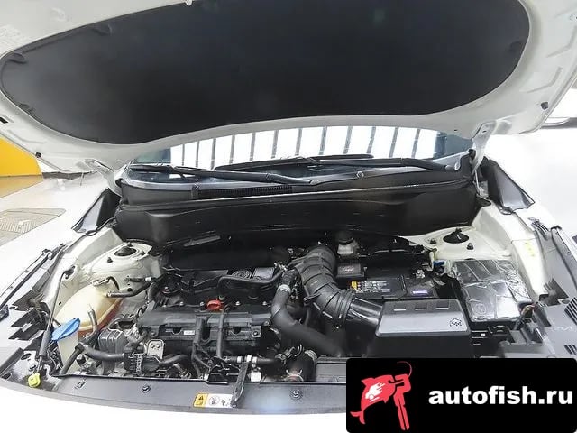 Kia Seltos The New Celtos 2022 года - вид 6