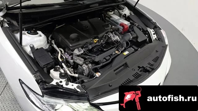 Toyota Camry Camry (XV70) 2019 года - вид 6