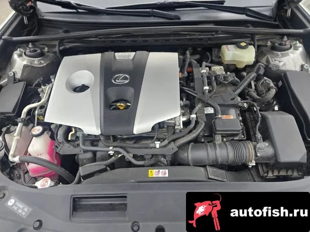 Lexus ES ES300h 7th generation 2021 года - вид 6