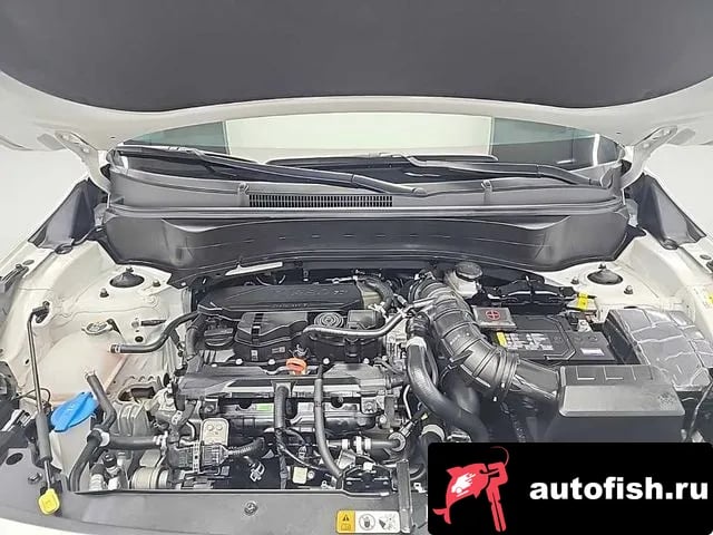 Kia Seltos The New Celtos 2024 года - вид 6