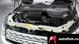 Миниатюра 6