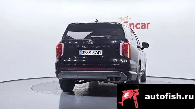 Hyundai Palisade The New Palisade 2024 года - вид 4
