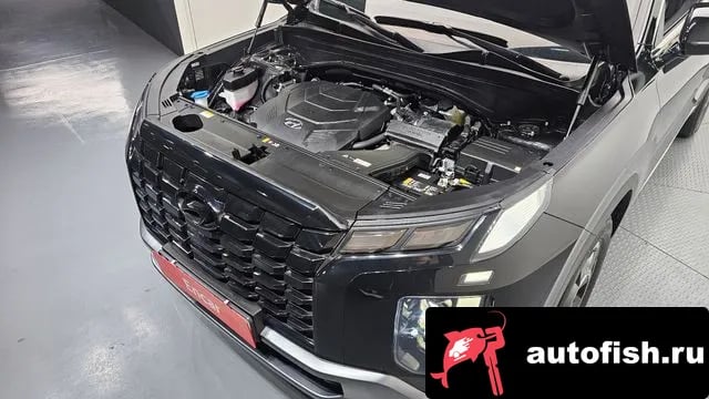 Hyundai Palisade The New Palisade 2024 года - вид 6