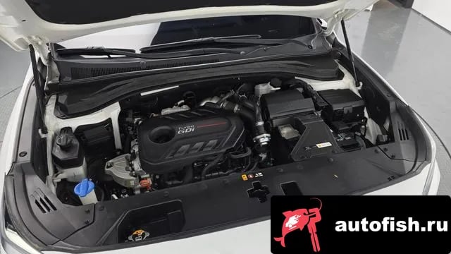 Hyundai Santafe San Tafe TM 2019 года - вид 6