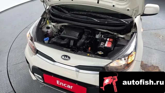 Kia morning Morning Urban (JA) 2020 года - вид 6