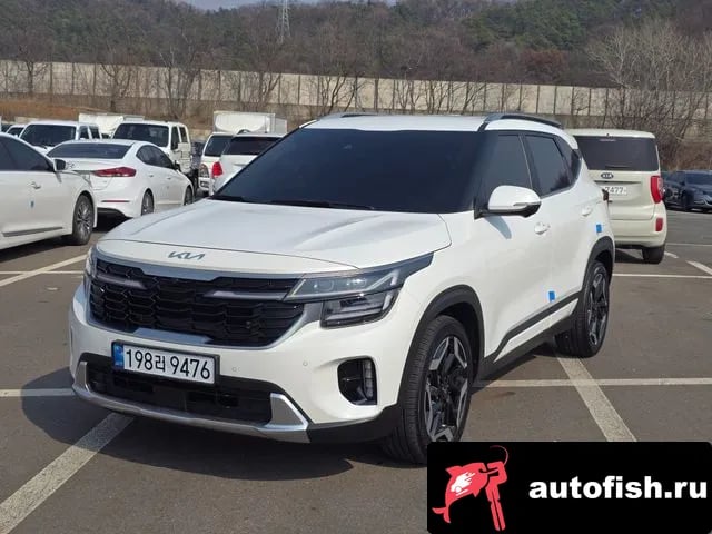 Kia Seltos The New Celtos 2024 года - вид 1