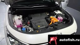 Миниатюра 6