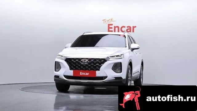 Hyundai Santafe San Tafe TM 2019 года - вид 3
