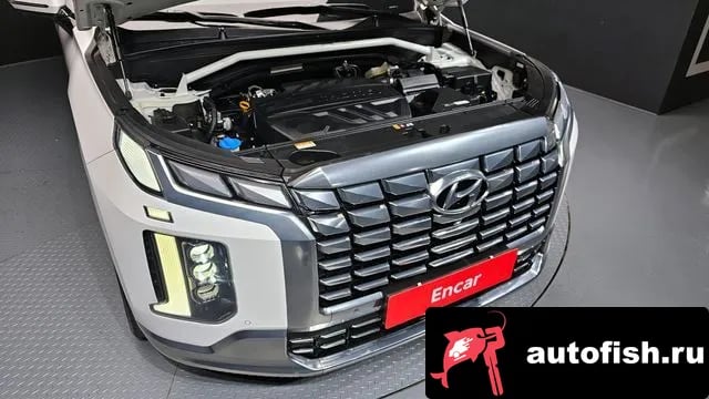 Hyundai Palisade The New Palisade 2023 года - вид 6