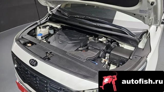 Kia Carnival The New Carnival 2018 года - вид 6