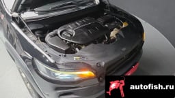 Миниатюра 6