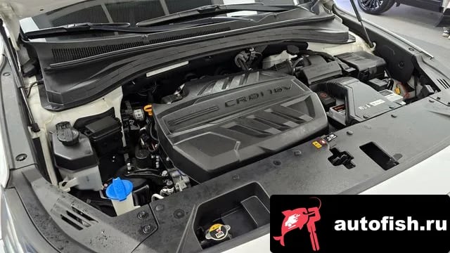 Hyundai Santafe San Tafe TM 2018 года - вид 6