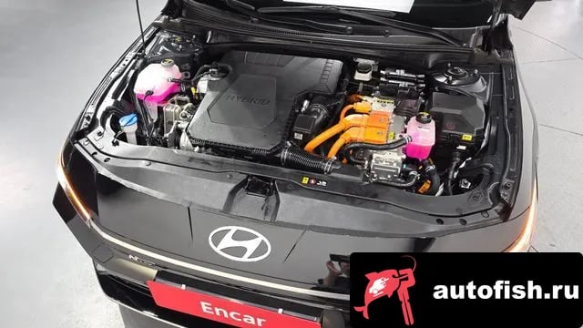 Hyundai AVANTE The New Avante Hybrid (CN7) 2025 года - вид 6