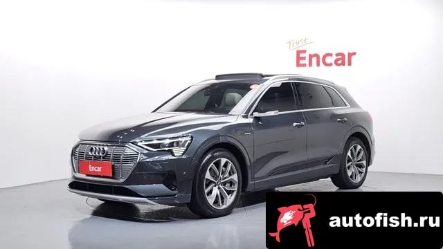Audi e-tron e-Tron 2020 года - вид 1