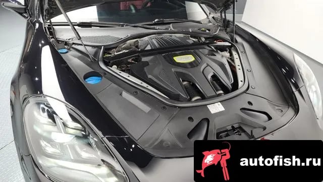 Porsche Panamera Panamera (971) 2019 года - вид 6