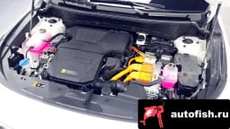 Миниатюра 6