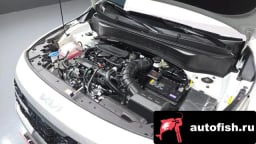 Миниатюра 6