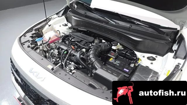 Kia Seltos The New Celtos 2025 года - вид 6