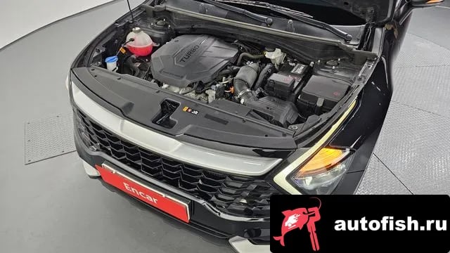 Kia Sportage Sportage 5th Generation 2021 года - вид 6