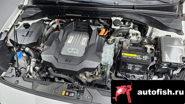 Hyundai Ioniq Ionic Electric 2018 года - вид 6