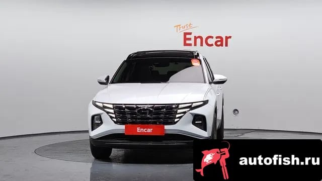 Hyundai Tucson Tucson (NX4) 2023 года - вид 3