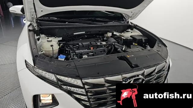 Hyundai Tucson Tucson (NX4) 2023 года - вид 6