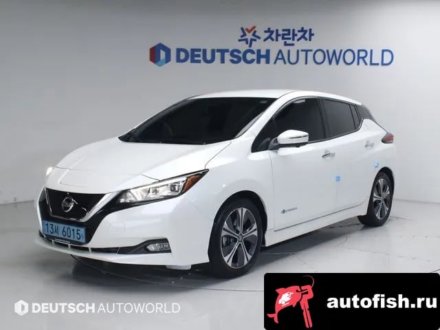 Nissan Leaf Leaf (ZE1) 2019 года - вид 1