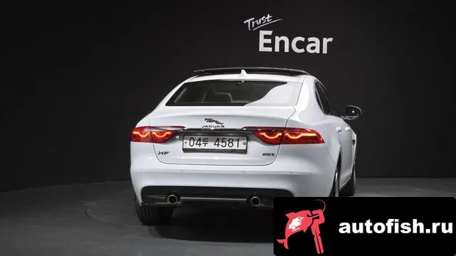 Jaguar XF XF (X260) 2018 года - вид 4