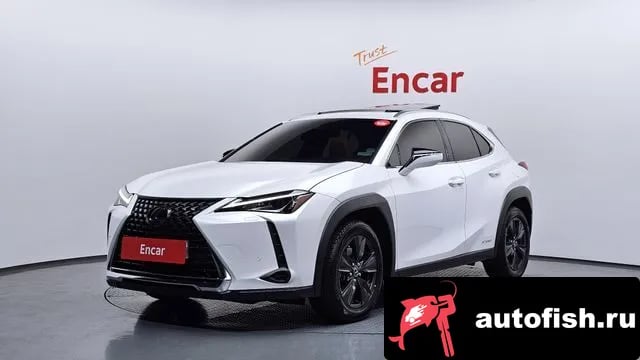 Lexus UX UX250h 2019 года - вид 1