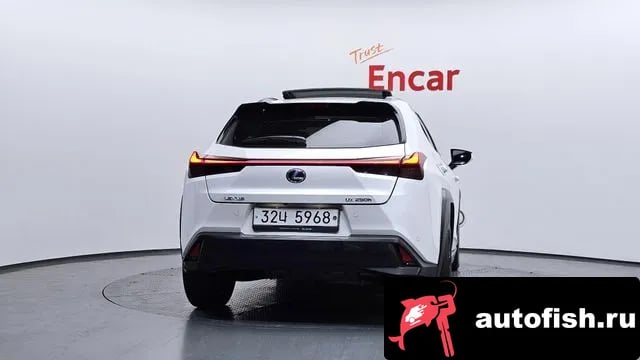 Lexus UX UX250h 2019 года - вид 4