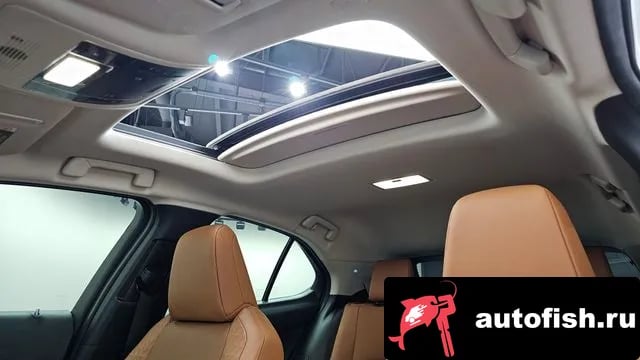 Lexus UX UX250h 2019 года - похожие автомобили