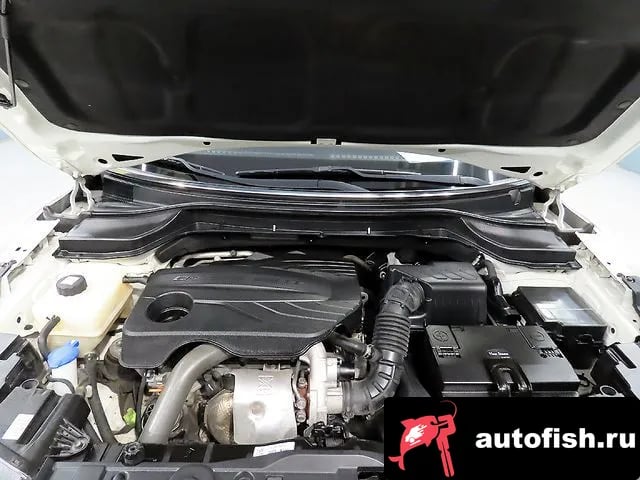 KG Mobility (Ssangyong) TIBOLI Berry New Tivoli 2022 года - вид 6
