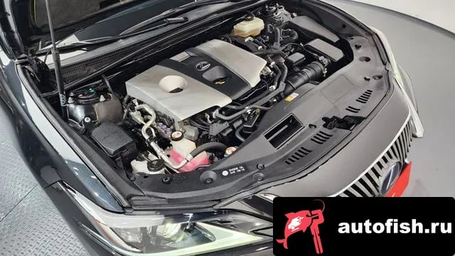 Lexus ES ES300h 7th generation 2019 года - вид 6