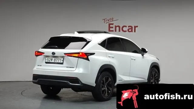 Lexus NX NX300h 2019 года - вид 1
