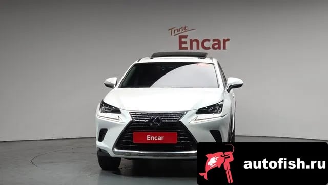 Lexus NX NX300h 2019 года - вид 2