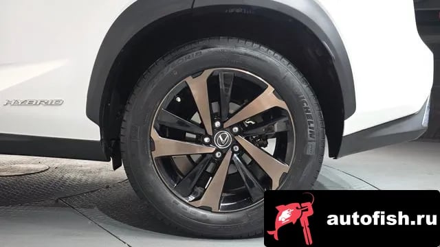 Lexus NX NX300h 2019 года - вид 4