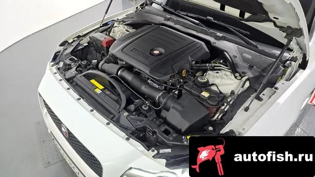 Jaguar XF XF (X260) 2019 года - вид 6
