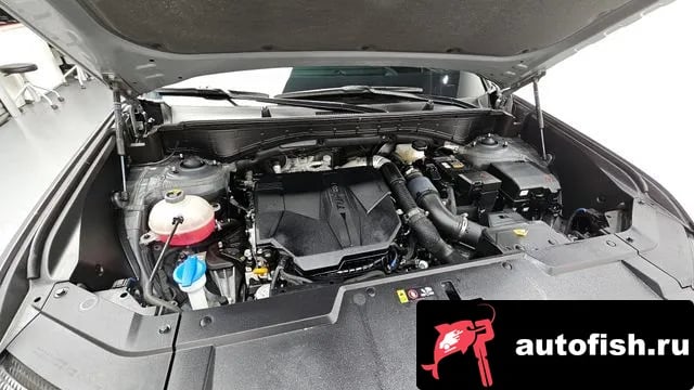 Hyundai Santafe San Tafe (MX5) 2024 года - вид 6