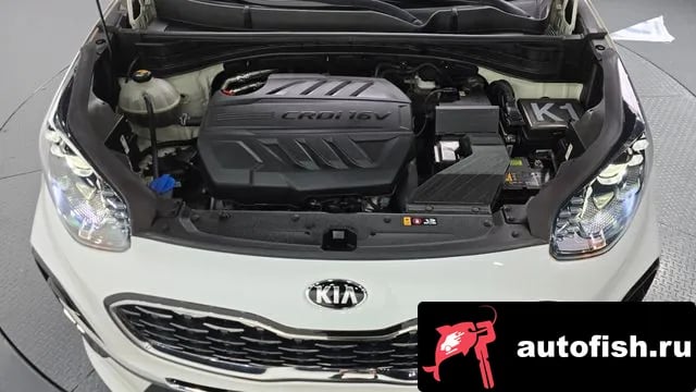 Kia Sportage Sportage The Bold 2020 года - вид 6