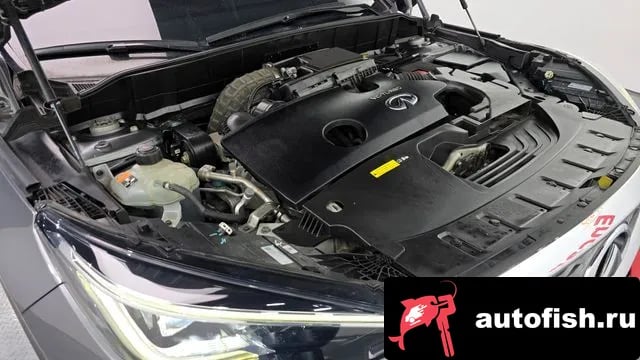 Infiniti QX50 QX50 (P71A) 2019 года - вид 6