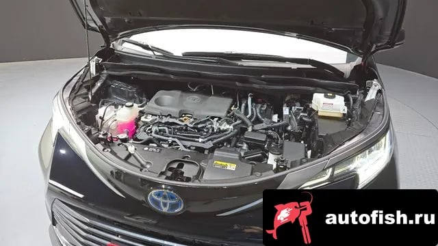 Toyota Sienna Siena 4th Generation 2022 года - вид 6