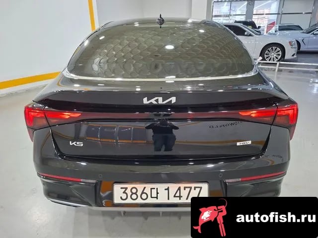 Kia K5 The New K5 Hybrid 3rd generation 2024 года - вид 4