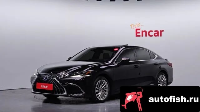 Lexus ES ES300h 7th generation 2022 года - вид 1